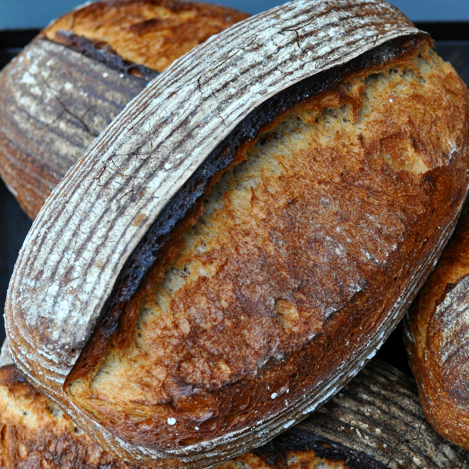 Bread